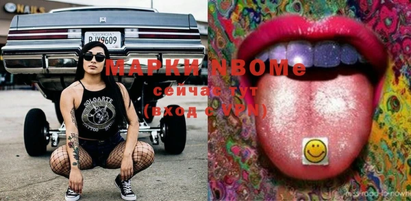 гидра Снежногорск