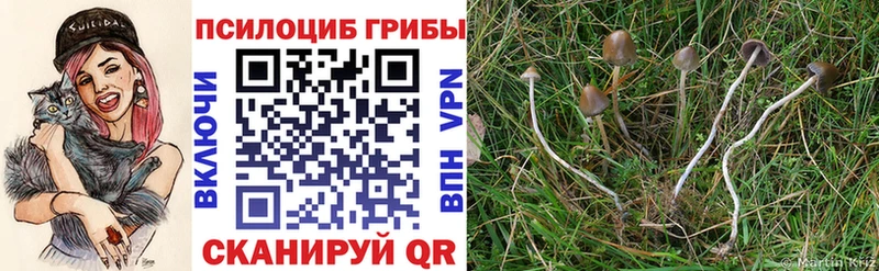 Купить закладки Энгельс Галлюциногенные грибы прущие грибы